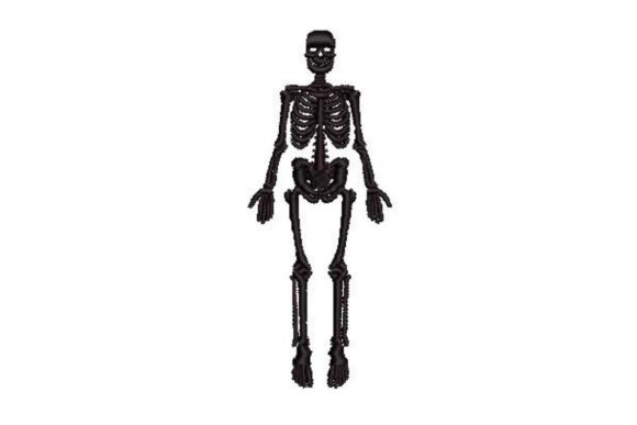 Vintage Anatomical Skeleton: A Unique Embroidery Design
